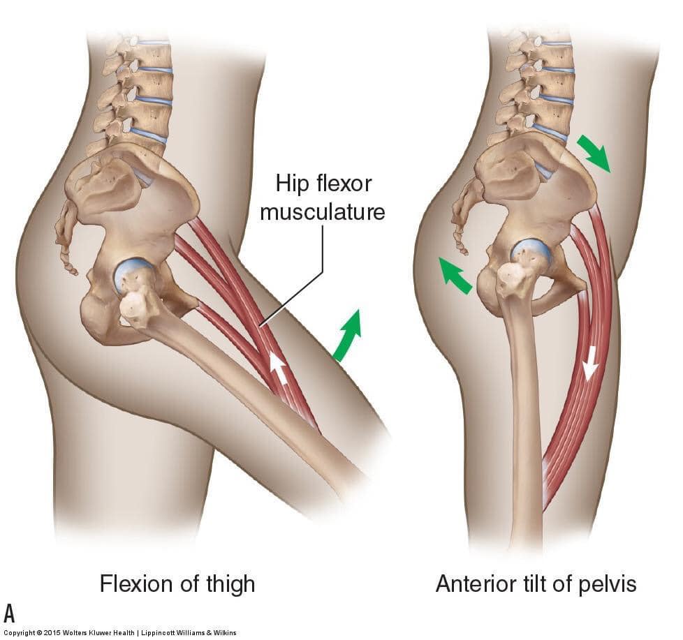 Phân tích chuỗi động năng và nguyên nhân chấn thương Pickleball